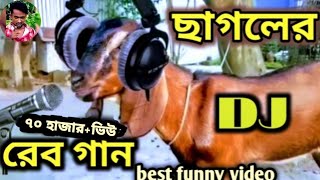 ছাগলের DJ রেব গান।🐐 ছাগলের গান।Goat Song।😀 #রুবেলমিয়া#robeltvnews#funny #funnyvideo #song #songs