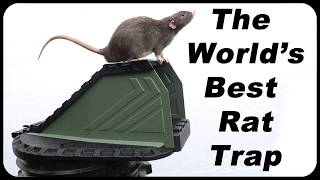 Why You Need The World's Best RAT Trap - The VULCAN Rodent Trap Is Here! How To Catch Rats