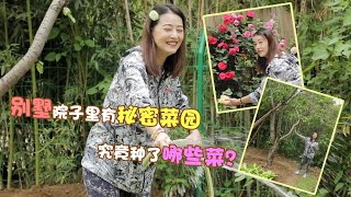 【周海媚】 周海媚 : 明星的闲暇生活怎么过：周海媚晒私家花园，种花种菜好快活