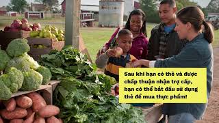 How to apply for SNAP benefits in Massachusetts (Vietnamese)