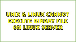 Unix & Linux: Cannot execute binary file on Linux server