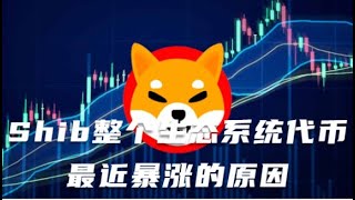 Shib整个生态系统代币最近暴涨的原因