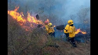 Las labores que adelanta bomberos en Cali para controlar voraz incendio forestal