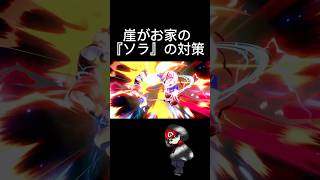 崖がお家のソラ対策 【スマブラSP】