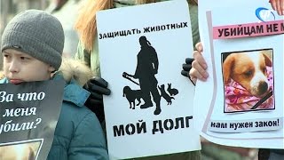 Частью всероссийской акции стал митинг зоозащитников в центре Великого Новгорода