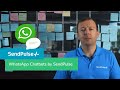 WhatsApp Chatbots by SendPulse | How to create WhatsApp Chatbot