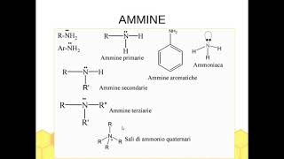Gruppi funzionali e nomenclatura di ESTERI e AMMINE