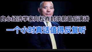 良心经济学家向松祚封杀前最后演讲！一个小时真话值得反复听！