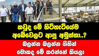 කවුද මේ හිටිහැටියේම අඹේවෙලට ආපු අමුත්තා..බලන්න බලන්න ගිහින් මොකද මේ කරන්නේ කියලා..