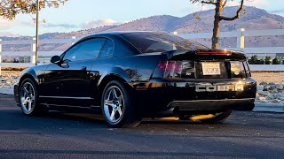 Buying 2004 SVT Cobra Terminator That has Been Sitting For Years! THE TERMI IS HERE! // Barn fined