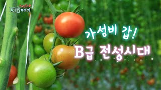 [트렌드 지금 여기] 가성비 갑! B급 전성시대 / 연합뉴스TV (YonhapnewsTV)