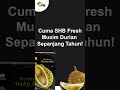 Durian Monthong Thailand SHB Fresh!