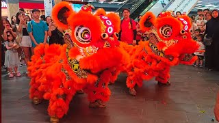 Nice Lion Dance 2025