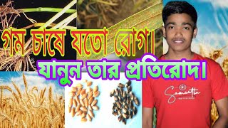 গমের ছত্রাক জনিতো সকল রোগের প্রতিকার ও প্রতিরোধ।।Prevention of all diseases caused by wheat fungus।।