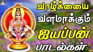 வாழ்க்கையை வளமாக்கும் ஐயப்பன் பாடல்கள் | Ayyappan Devotional Songs | HD