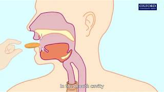 Animation 6.1 Swallowing and peristalsis