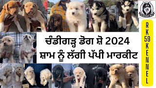 ਚੰਡੀਗੜ੍ਹ ਡੋਗ ਸ਼ੋ 2024 ਸ਼ਾਮ ਨੂੰ ਲੱਗੀ ਪੱਪੀ ਮਾਰਕੀਟ #Dogshow2024