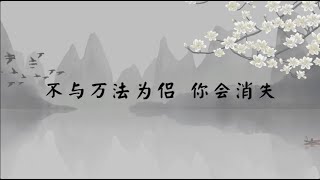 【子归家/易度门】聊天室 | No.2697 不与万法为侣 你会消失 | 虚幻 | 09 幻境系列 | 杨宁