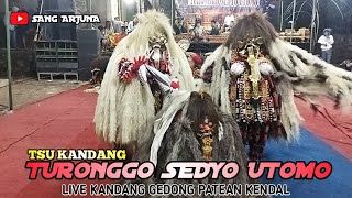 TSU Kandang Turonggo Sedyo Utomo live Kandang Gedong Patean Kendal