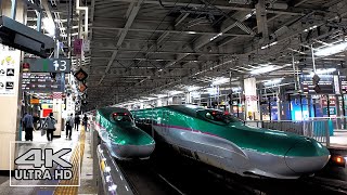 Walking Through SENDAI Station in Japan / 4K