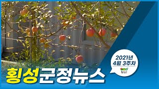 횡성군정뉴스-20210420