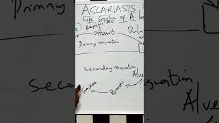 Ascariasis[public health Parasitology]