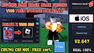 Hướng dẫn cách hack blox fruits vng Delta X IOS trên iPhone dành cho người mới, chi tiết và dễ hiểu