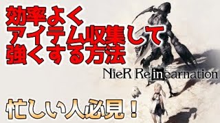 【ニーアリィンカーネーション】初心者＆忙しい人必見！効率よくゲームを攻略する方法！レベル上げになるべく時間をかけたくない人向け【NieR Re[in]carnation】