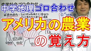 中学社会【ゴロ合わせ】地理「アメリカの農業の覚え方」