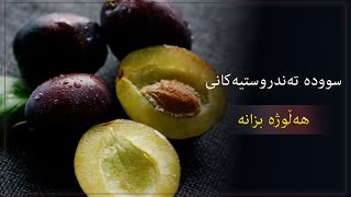 لەم ڕاپۆرتەدا سوودە تەندروستییە گرنگەکانی هەڵوژە بۆ جەستە بزانە