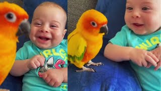 Funny and Cute Baby Moments : 1001 Funny Baby Reaction When Play with Chicken | Funny Videos #shorts