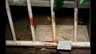 Bbc Oj Simpson The Untold Story