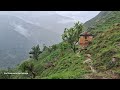 Hunting Jungle Mushroom in Nepal | Most Peaceful And Relaxing Village Life of Nepal | Rainy Day#Hari