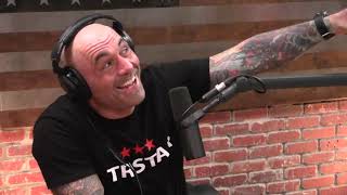 Joe Rogan on Instagram Models and Selfies