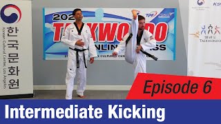 [2020 Online TKD Class] EP 6: Intermediate Kicking Techniques