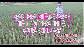 MÁY NÔNG NGHIỆP| MÁY  ĐÁNH RÃNH-CÀO CỎ-SỤC BÙN-DIỆT LÚA LẪN/BẠN CỦA NHÀ NÔNG