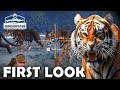 UP CLOSE LOOK at EVERY SPECIES & ALL RARE TIGERS in Sundarpatan!!! - Call of the Wild Update News