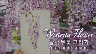 수채화 등나무꽃 일러스트 그리기 | Watercolor painting tutorial | Wisteria Flowers | MIOK ILLUST