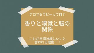 アロマテラピーって何？香りと嗅覚と脳の関係　これが自律神経にいいと言われる理由！！