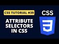 CSS Tutorial #39 - Attribute Selectors in CSS | Programming For Beginners