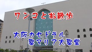 美麗のステンドグラス『大阪カテドラル聖マリア大聖堂』