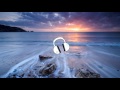 Vexento - Tevo