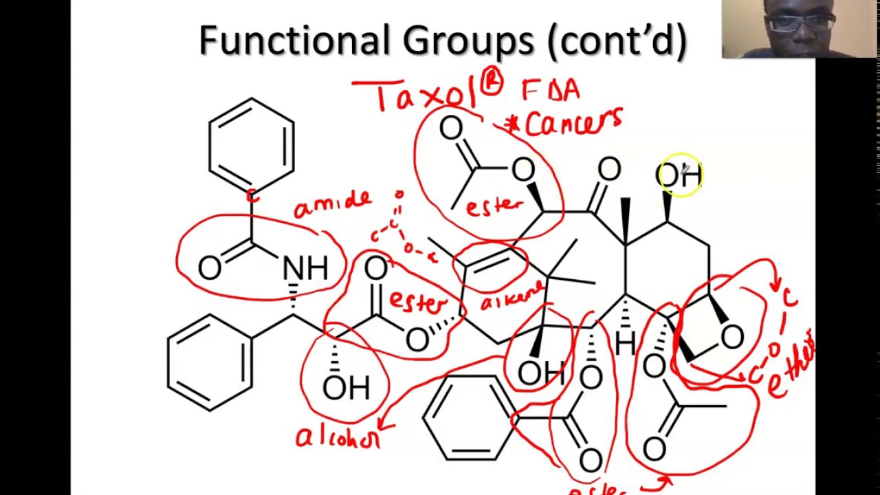 Lecture 3 June 8 Th Part B FUNCTIONAL GROUPS - YouTube