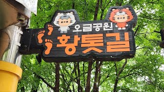 오금공원, 오금오름공원, 황톳길, 산책길, 가족공원, 유아숲체험,  숲 태교 체험장,주민 건강을 위한 각종 운동기구, 송파구 전체를 조망할수 있는 뷰맛집 하늘아래 열린공간 오금오름