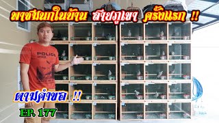 พาชมนกในบ้านครั้งแรก | สายภูเขา ตามคำขอของ FC  EP.177