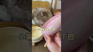 奶呼呼高颜值的猫碗  太适合小猫咪精致的生活啦#萌宠好物 #猫碗