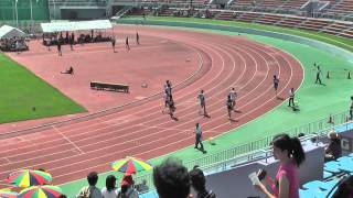 H27　関東選手権　男子110mH　予選3組