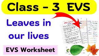 Class 3 Leaves in Our Lives |Leaves Around Us Class 3| Class 3 EVS Worksheet| Class 3rd EVS| Class 3