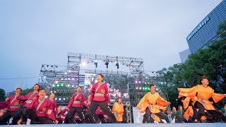 [4K] 東京農業大学YOSAKOIソーラン部 大黒天　にっぽんど真ん中祭り 2019 どまつり 前夜祭