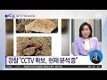 경찰 李 부모 묘지 훼손 cctv 확보 김진의 돌직구 쇼 1208 회